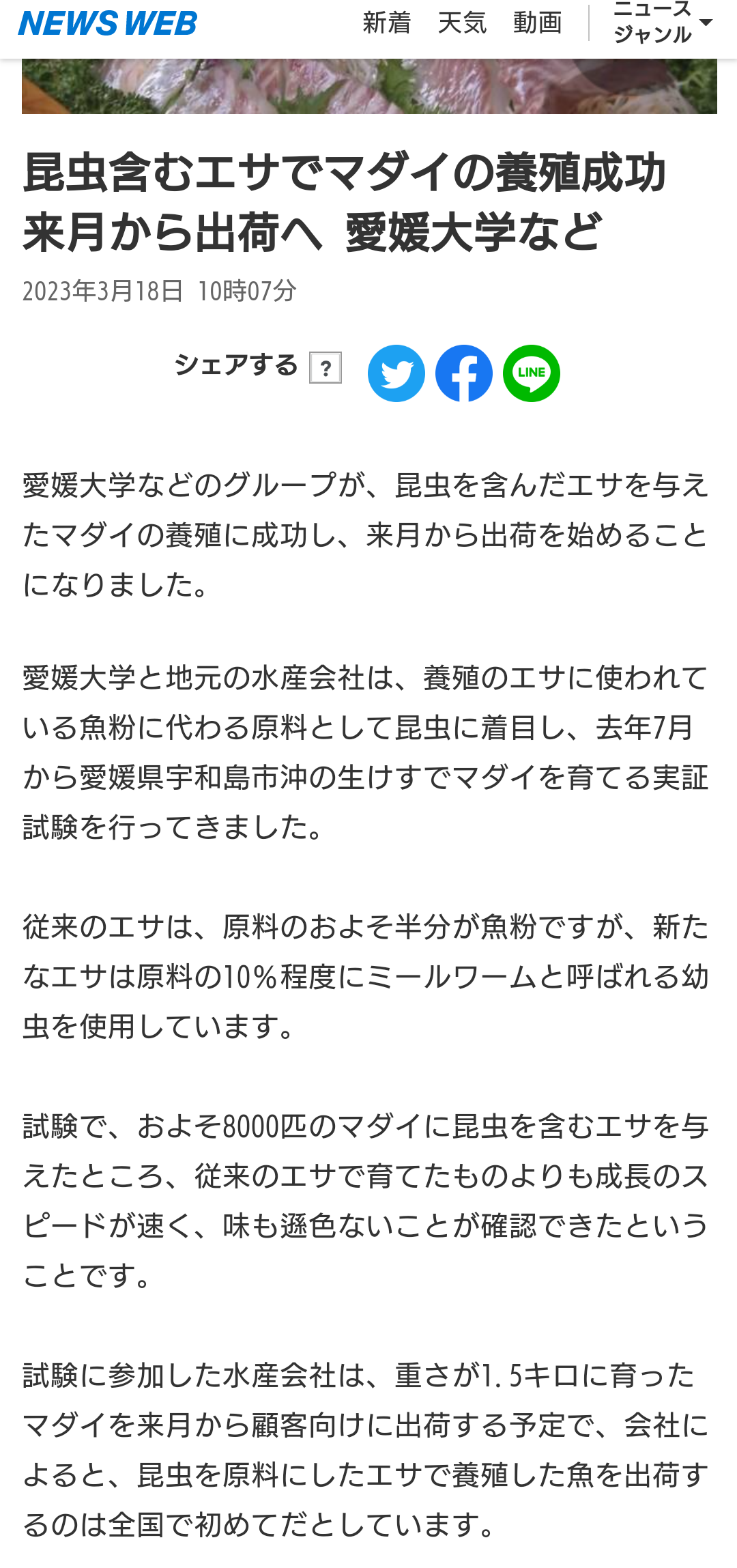 🌸桜にまつわる思い出🌸