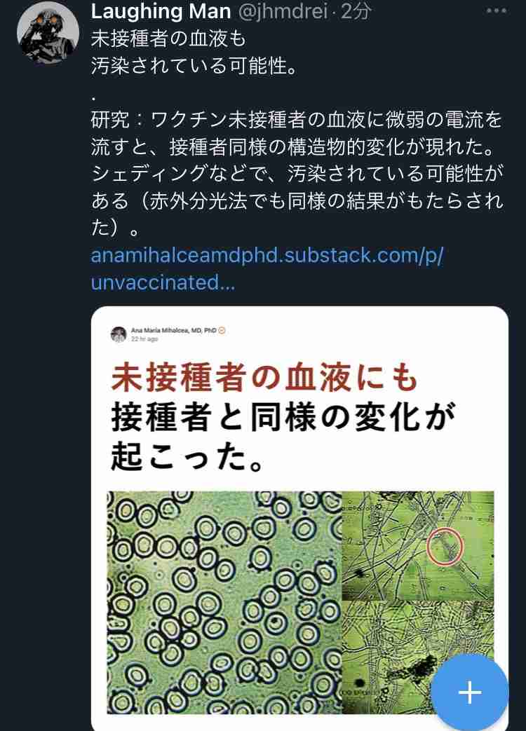 🌸桜にまつわる思い出🌸