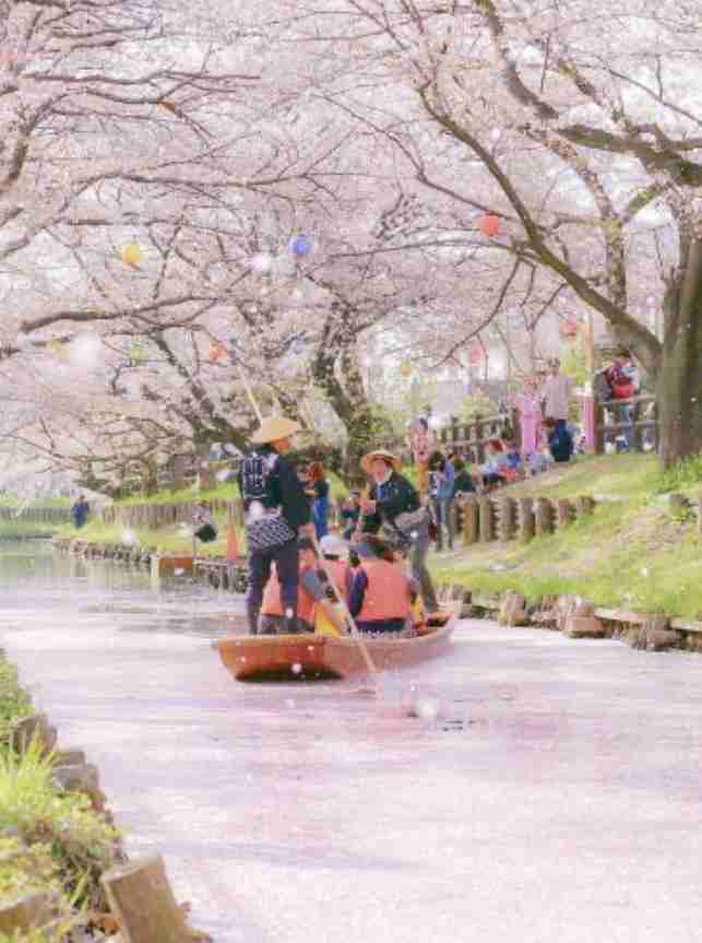 🌸桜にまつわる思い出🌸