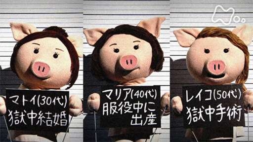 「性奴隷として2カ月間、監禁されました」15歳でヤクザに“シャブ漬け”にされた女性が語った「覚せい剤の恐ろしさ」