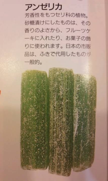 道端アンジェリカ　スピード再婚していた「最初から一つ屋根の下の運命的な出会い」