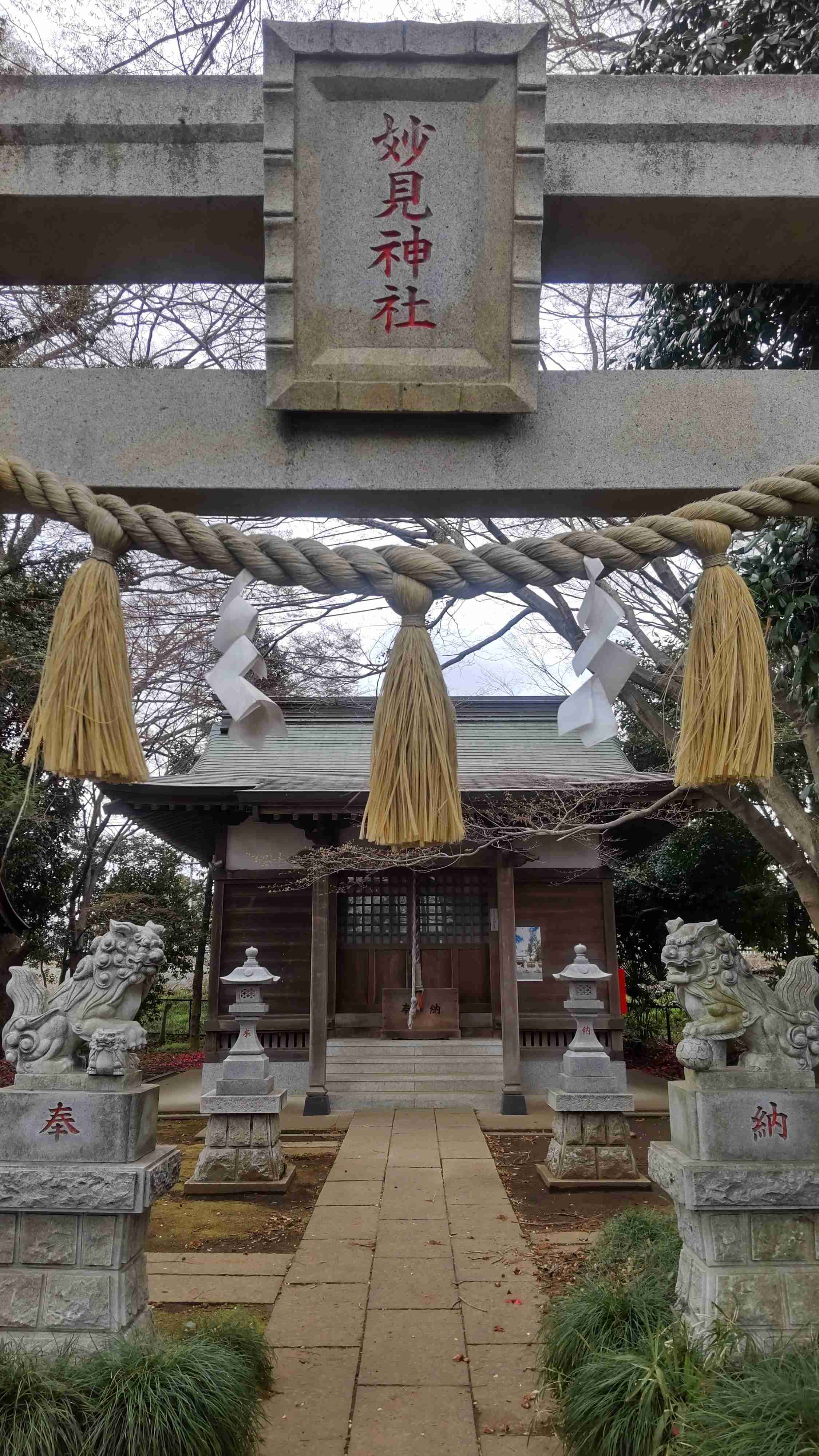 みんな大好き！狛犬ポジション