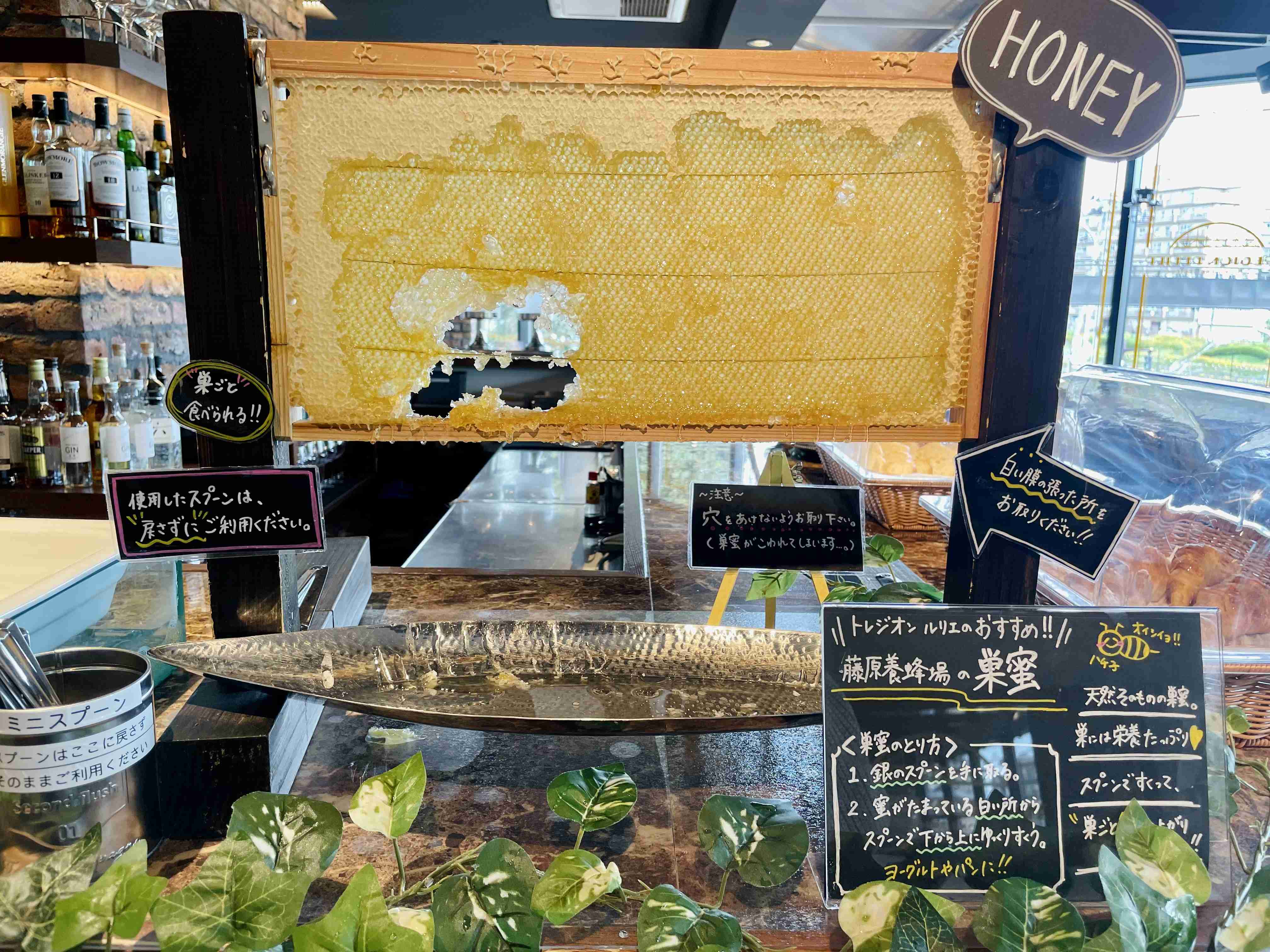 携帯に保存してある旅館・ホテルの料理画像見せて下さい！