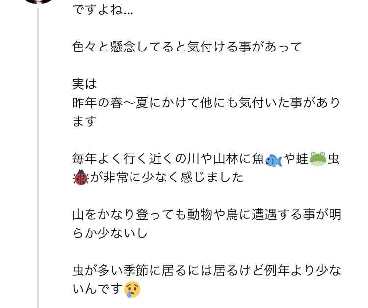 お米vsパン