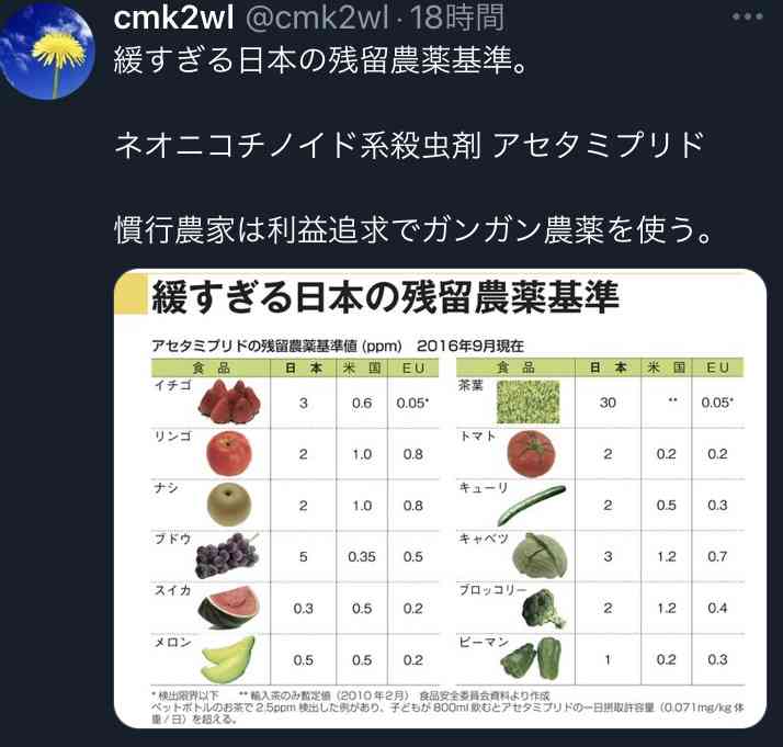 お米vsパン