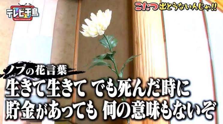 「テレビ千鳥」好きな人〜