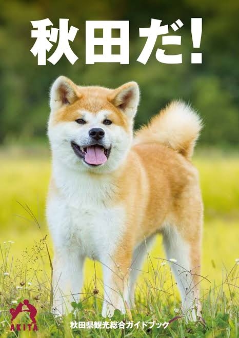 終の住処、どうやって決めましたか？