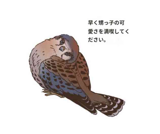【BL】『ENNEAD』の話がしたい Part5🏜