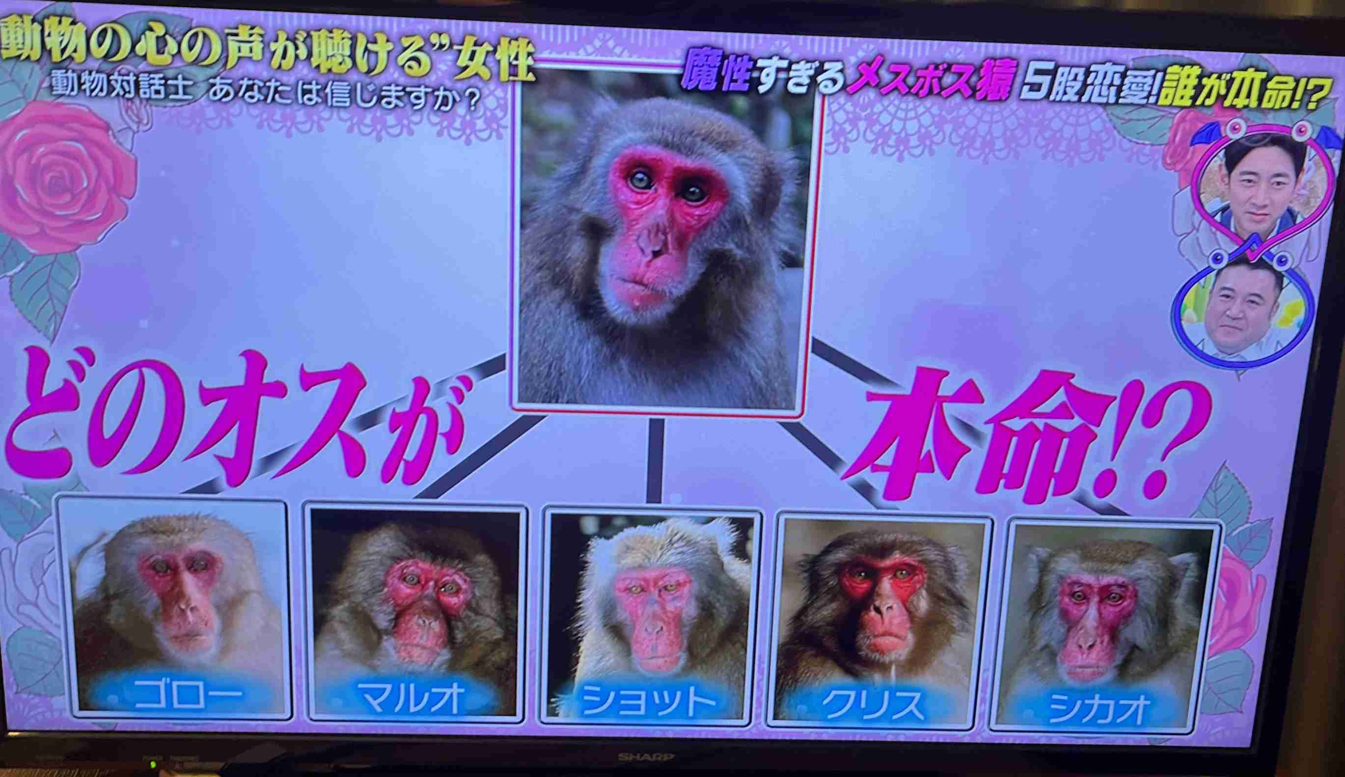 【恋愛】付き合う前、付き合いたてが苦手