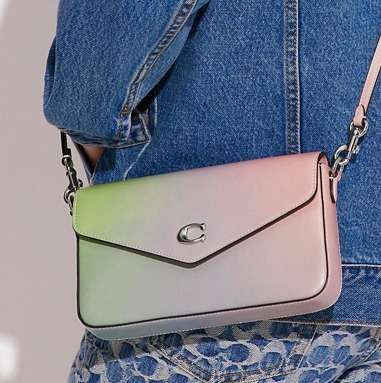 【バッグ】最近COACHが気になる【財布】