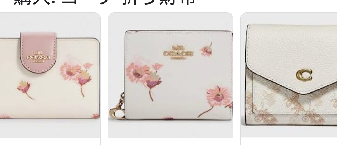 【バッグ】最近COACHが気になる【財布】