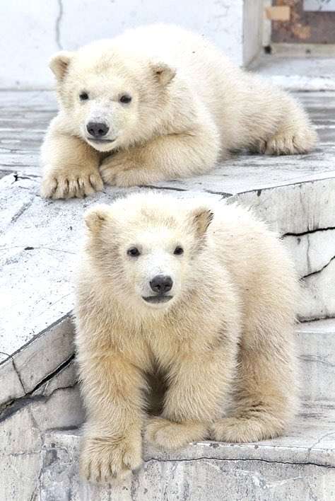 我が子が可愛すぎるPart4