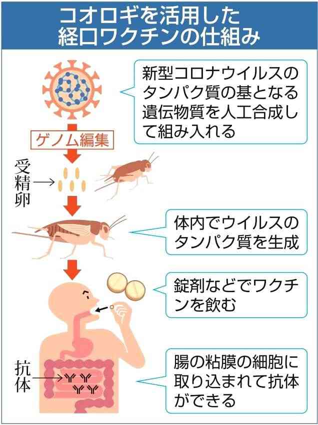 敷島製パン、コオロギ商品めぐり対応苦慮　デマや陰謀論も拡散...提携企業は法的措置を検討