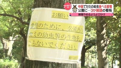 敷島製パン、コオロギ商品めぐり対応苦慮　デマや陰謀論も拡散...提携企業は法的措置を検討