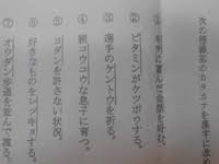 ビタミン系のサプリ