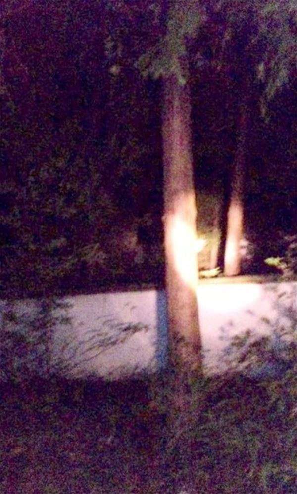 【閲覧注意】山が怖くなる画像くださいPart4