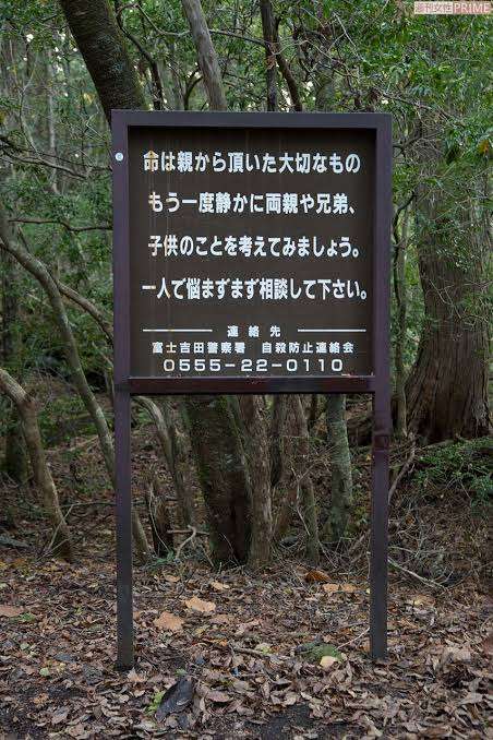 【閲覧注意】山が怖くなる画像くださいPart4