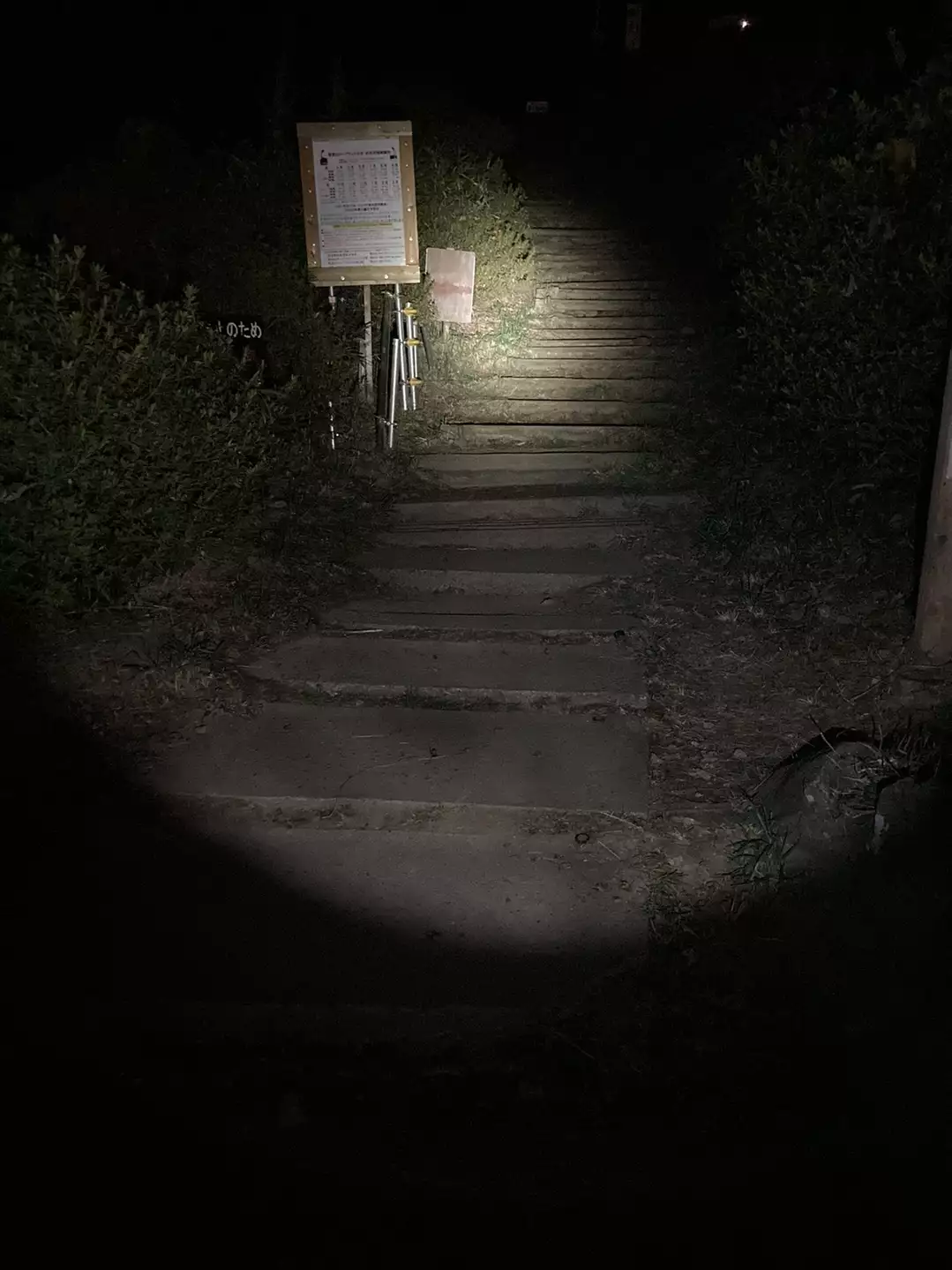 【閲覧注意】山が怖くなる画像くださいPart4