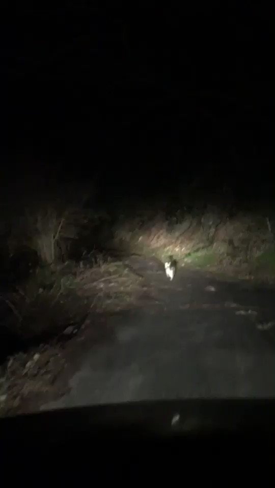 【閲覧注意】山が怖くなる画像くださいPart4