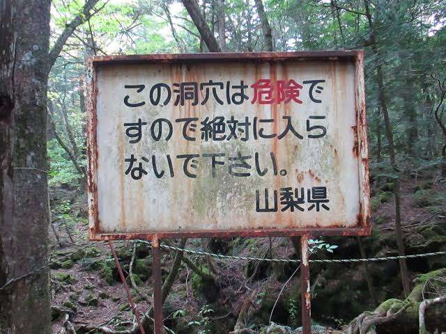 【閲覧注意】山が怖くなる画像くださいPart4