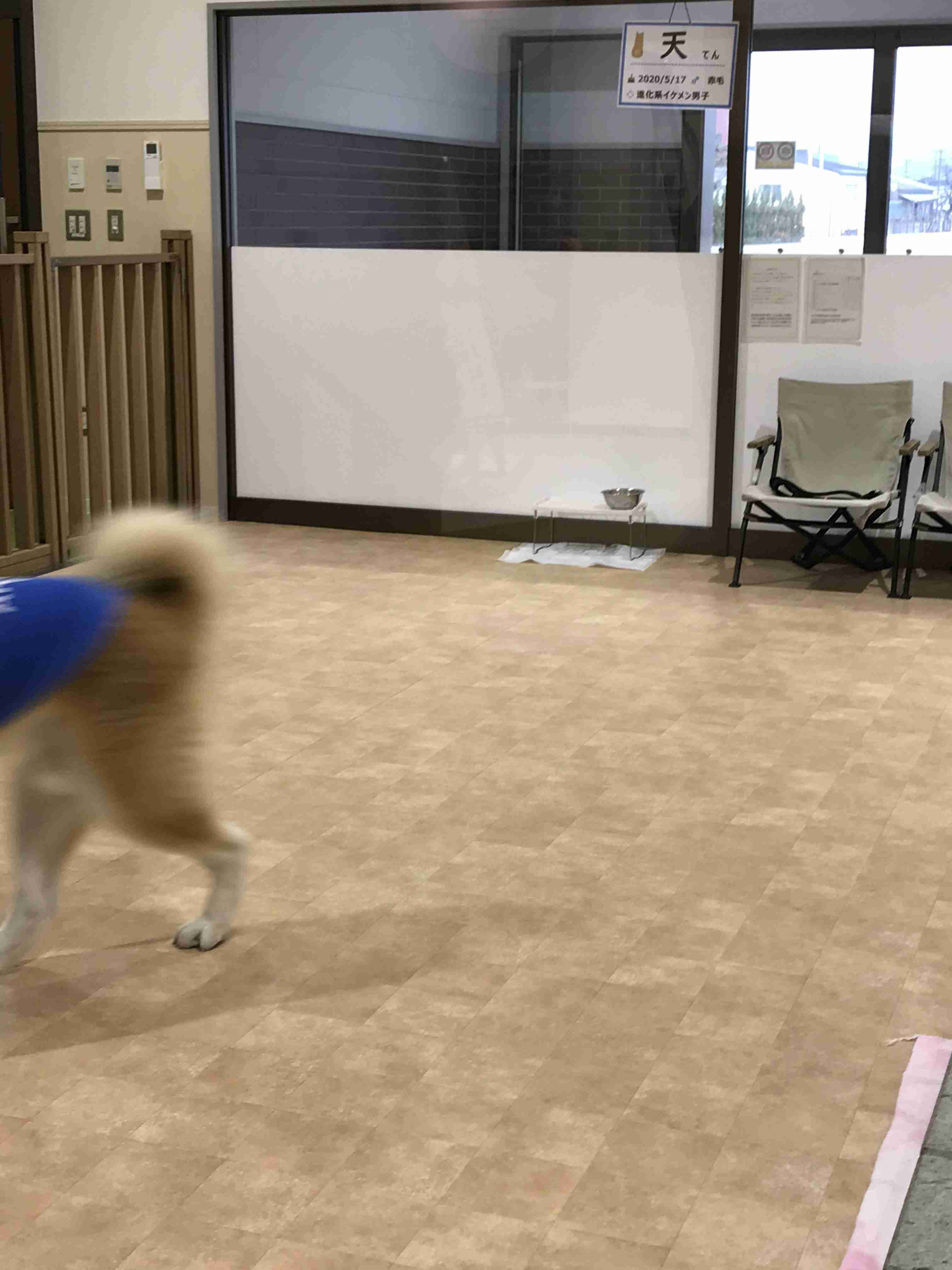 謎＆下手くそペット写真選手権 Part2