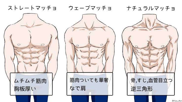 男性の好きな骨格タイプPart3