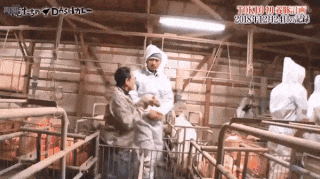 芸能人の性格が垣間見える画像 part6