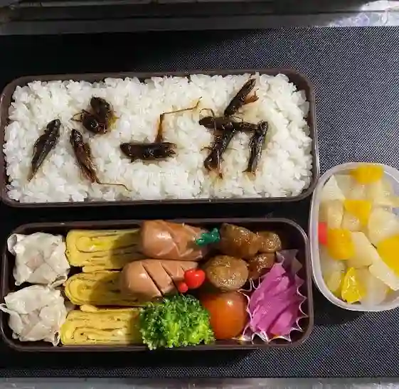 開けた瞬間、砂？　一面に敷き詰められた“粉”の正体に衝撃　“嫌がらせ弁当”を作る妻の真意