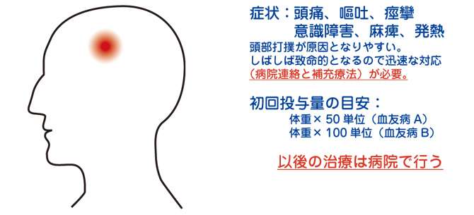 運動会の組み体操２日後に死亡　中学生の遺族が求めた損害賠償請求を棄却　広島地裁福山支部