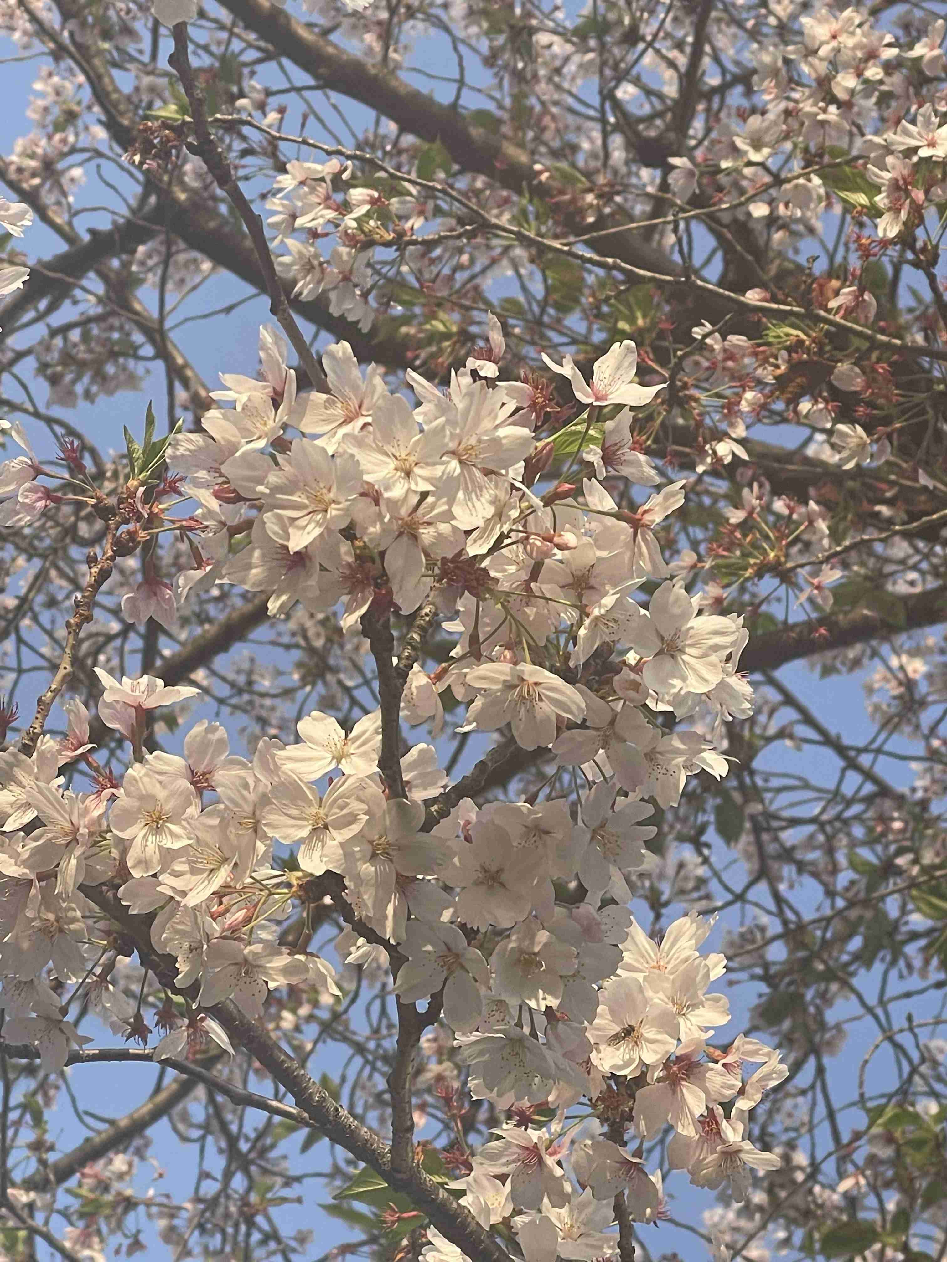 優しい人が集まる平和な雑談Part7