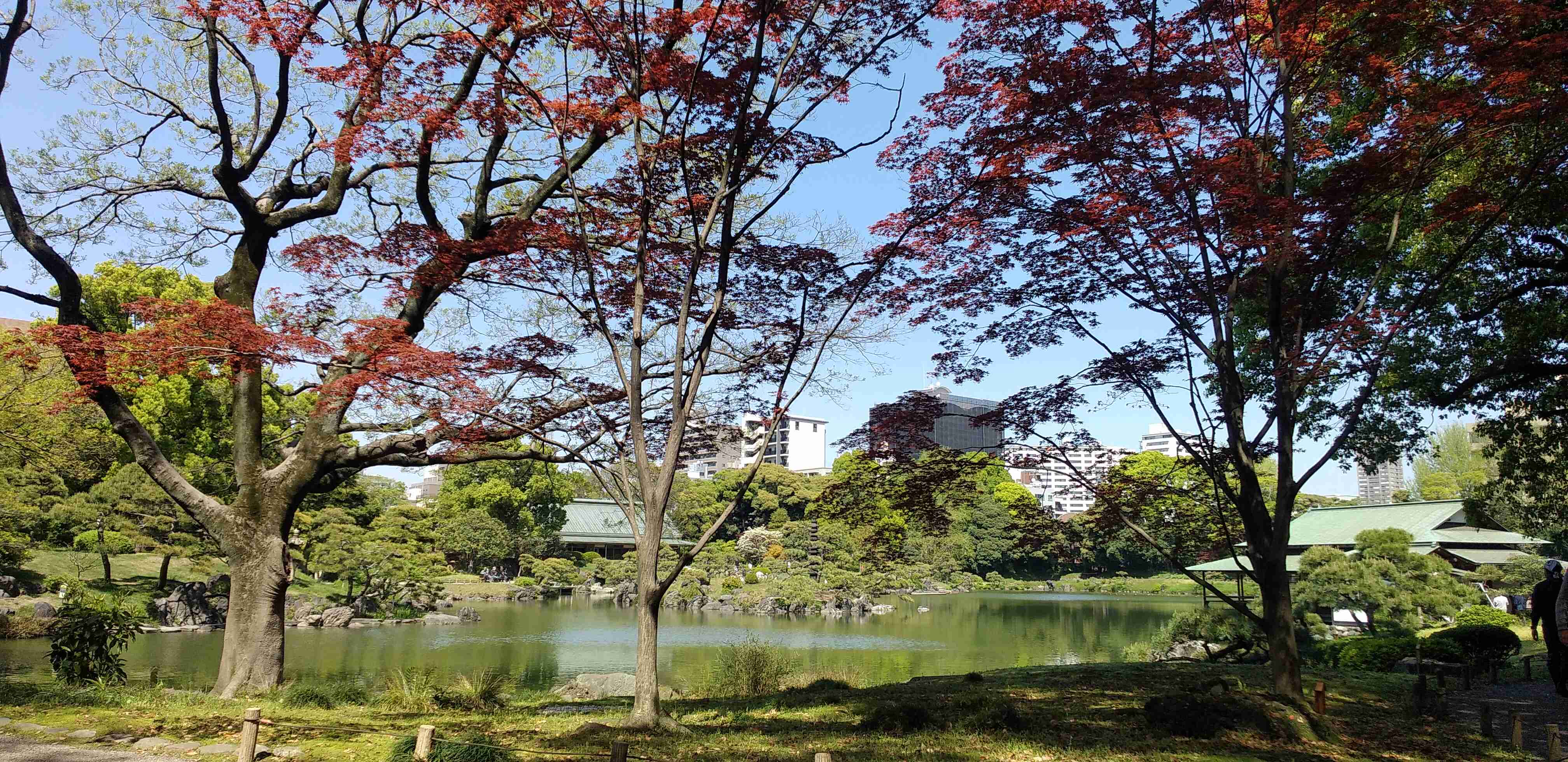 優しい人が集まる平和な雑談Part7