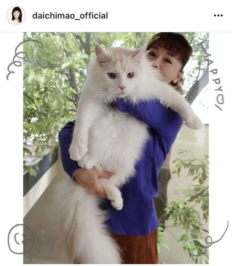 優しい人が集まる平和な雑談Part7