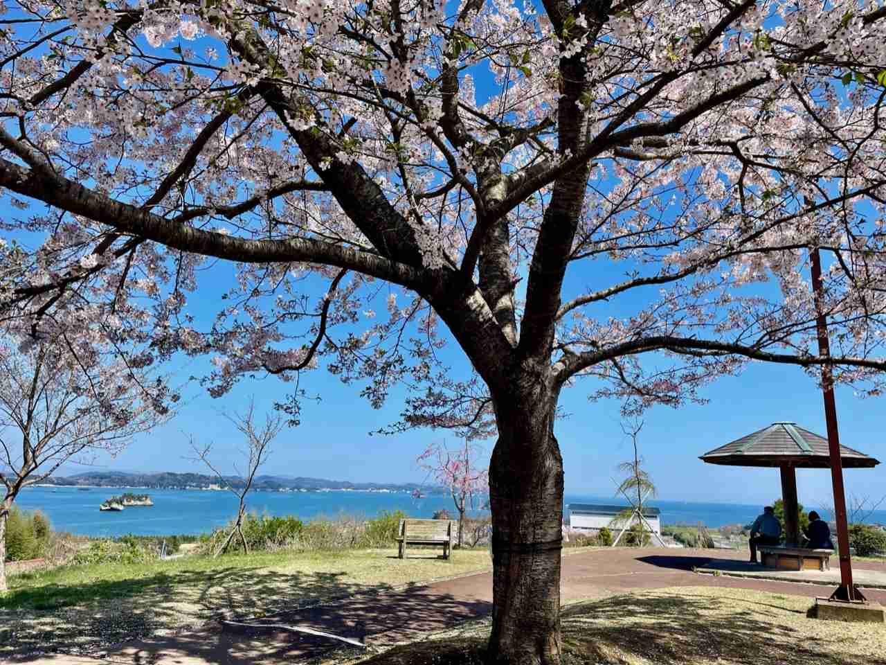 優しい人が集まる平和な雑談Part7