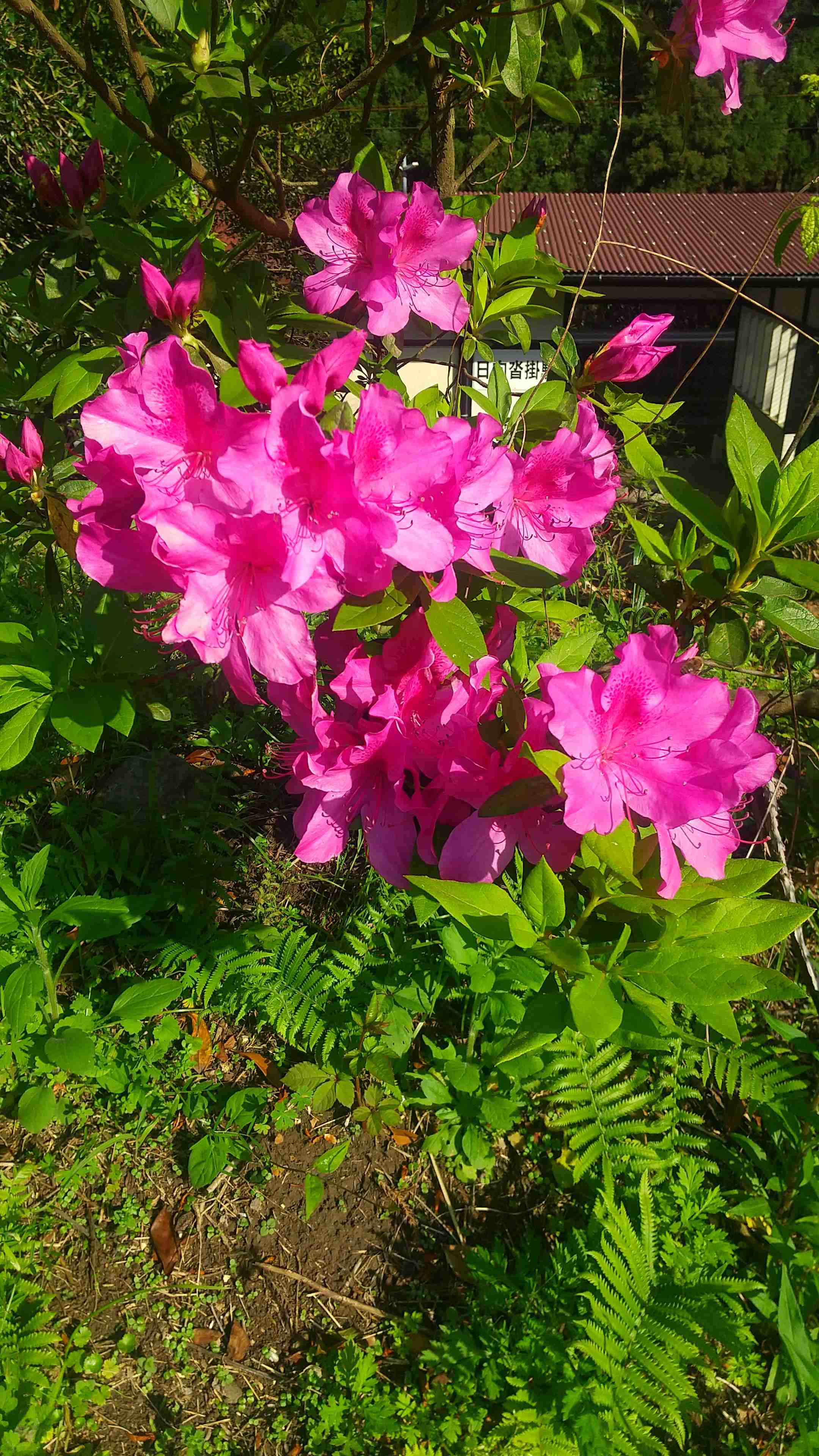 優しい人が集まる平和な雑談Part7