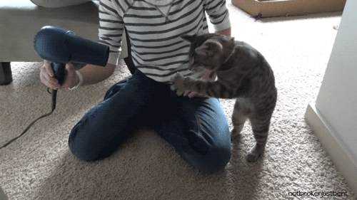 優しい人が集まる平和な雑談Part7