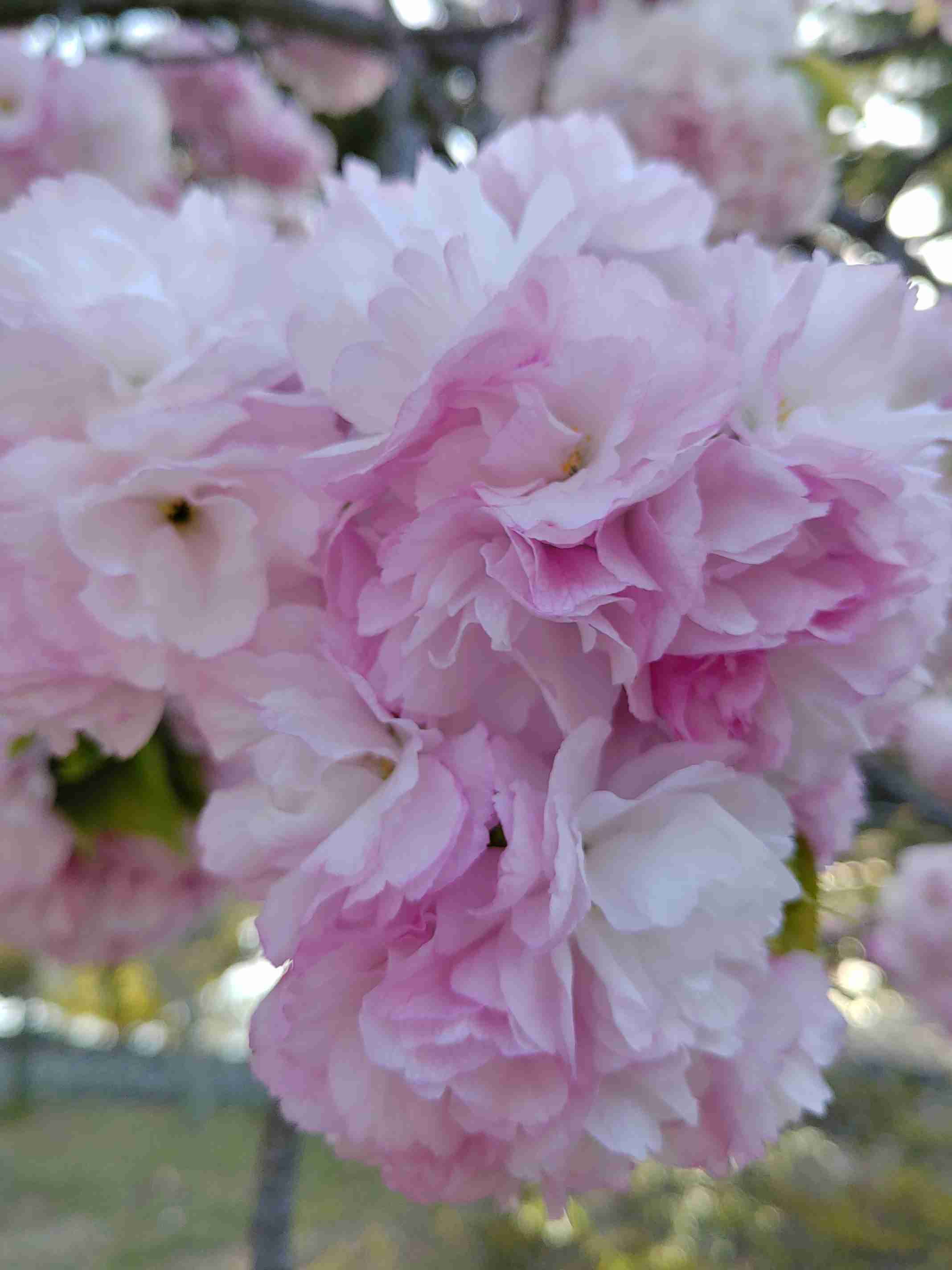 地味なコメントをただ書き込んでいくトピ