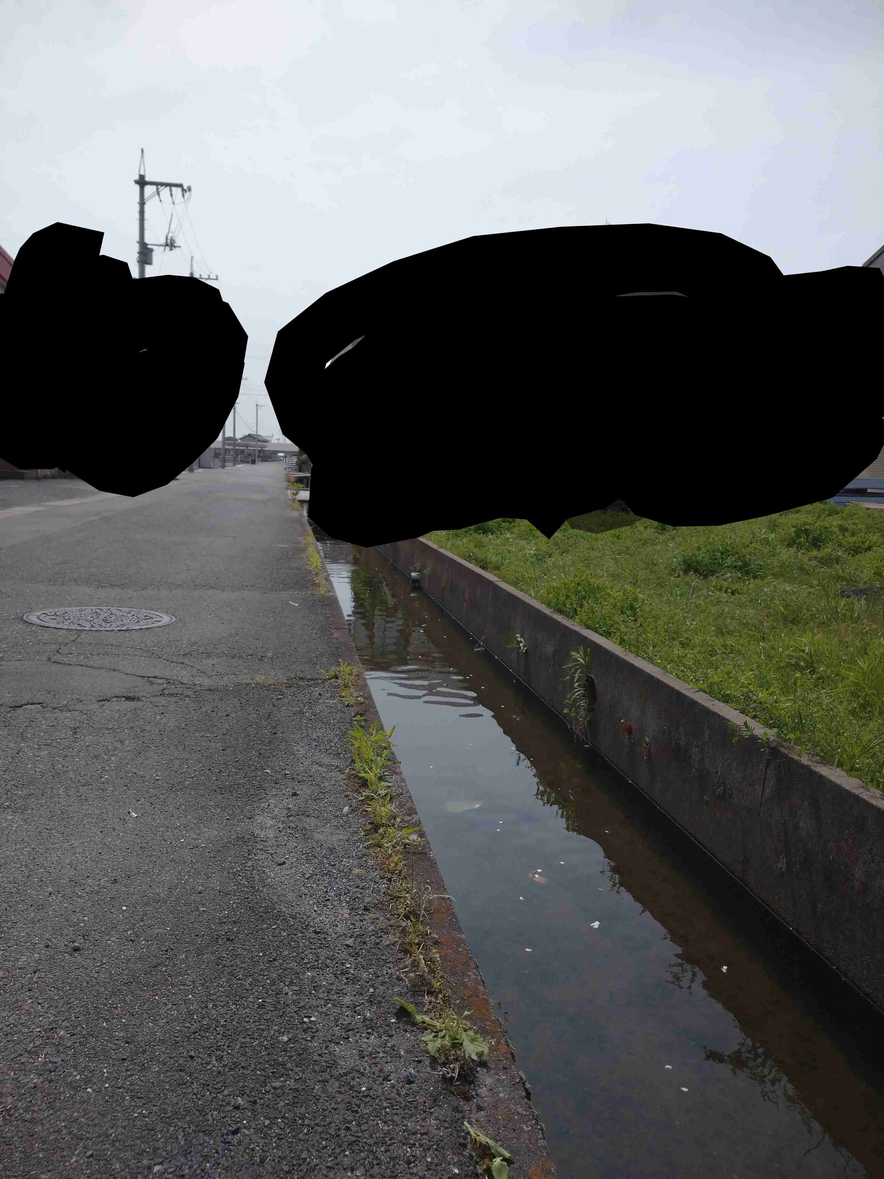 4年で108人死亡 岡山県「人食い用水路」はなぜそのままにされているのか? 少なくない“柵”反対の声、驚きの理由とは