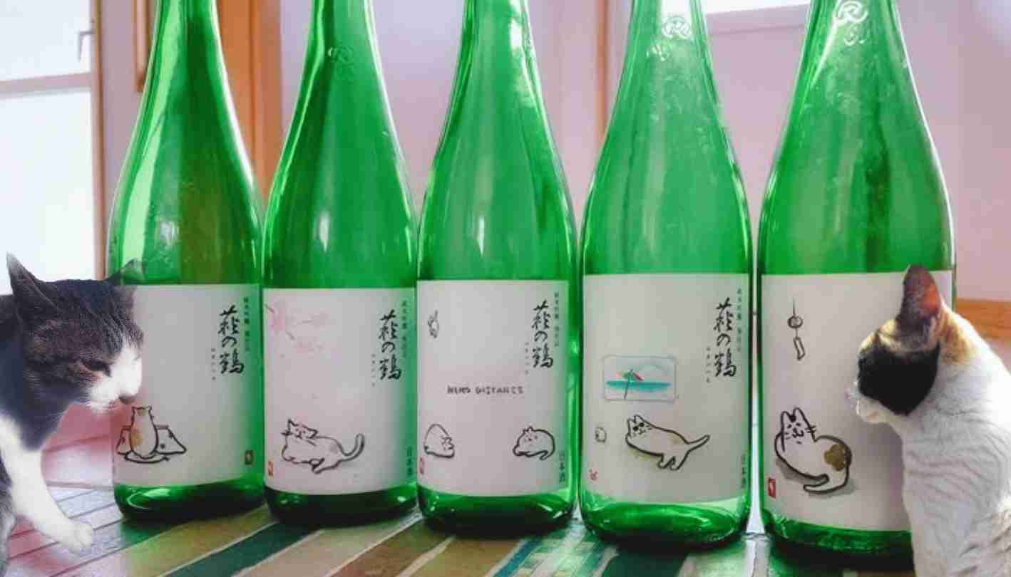 がるちゃん猫カフェ86号店開店しました♫(初めての方も大歓迎♫)