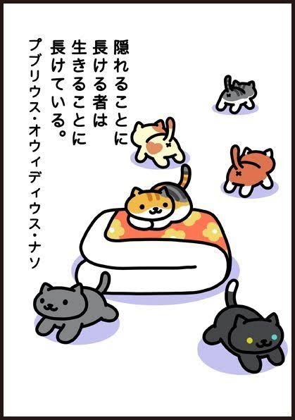 がるちゃん猫カフェ86号店開店しました♫(初めての方も大歓迎♫)