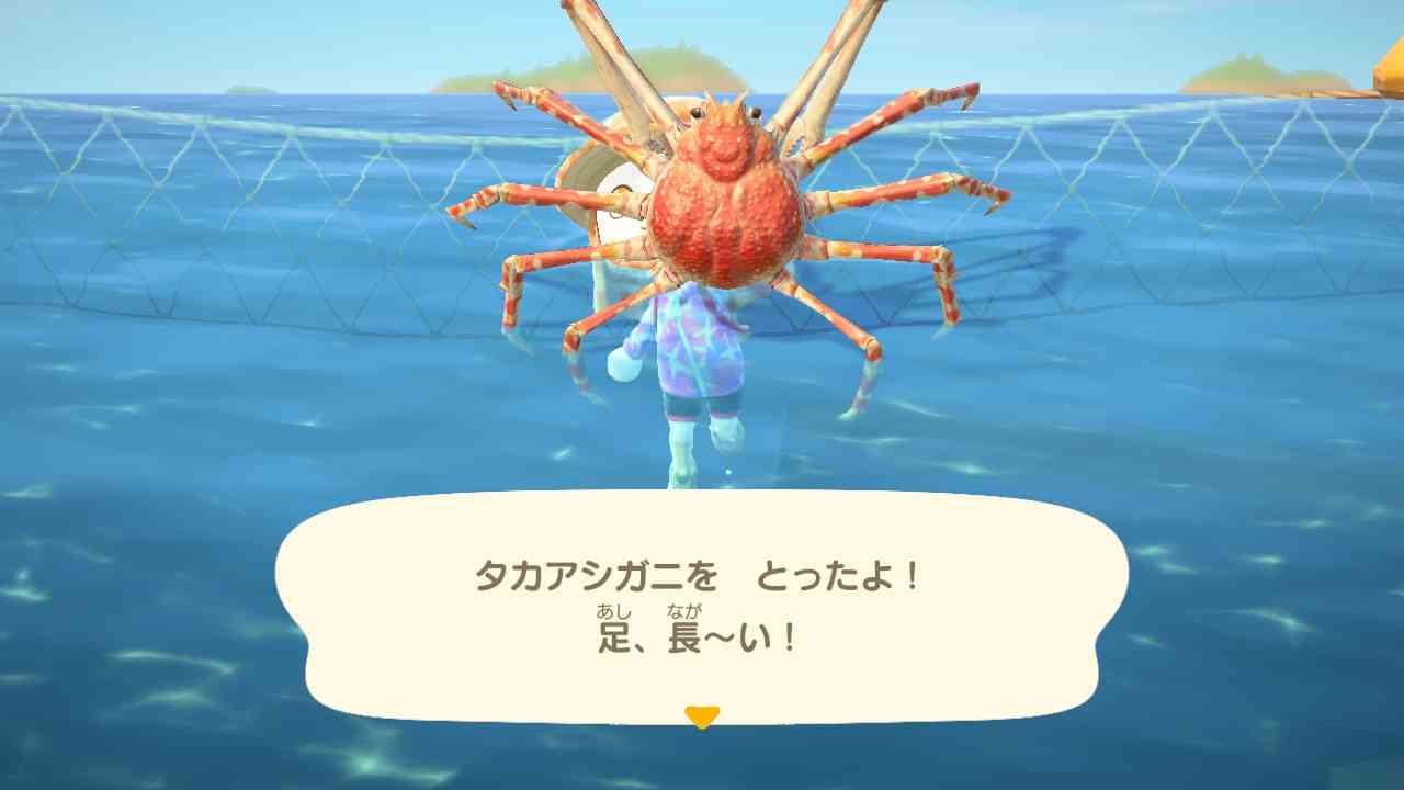 【祝3周年】まだあつ森やってる人集合!