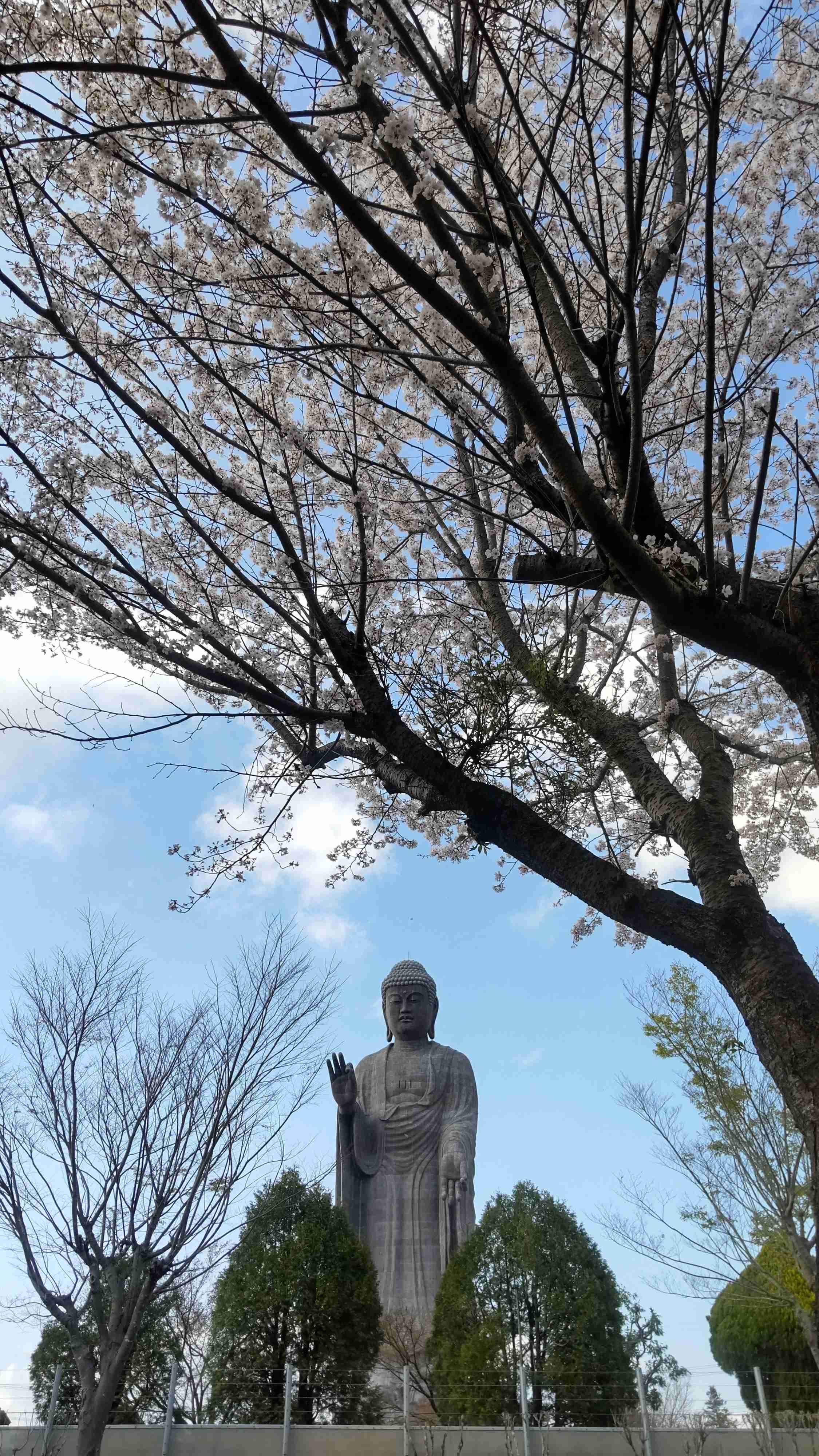 今年ここに行ったことあったらプラス