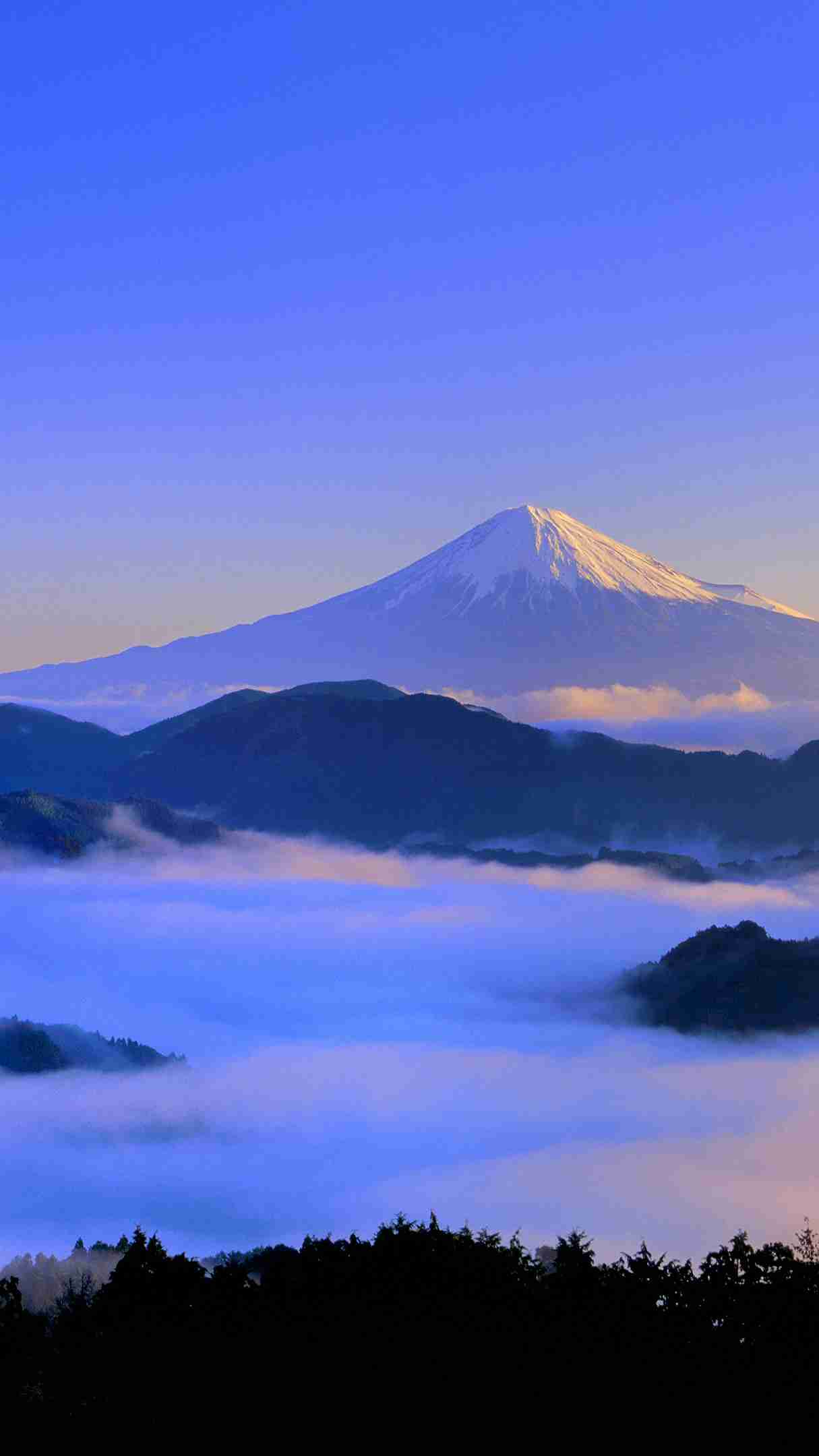 今年ここに行ったことあったらプラス