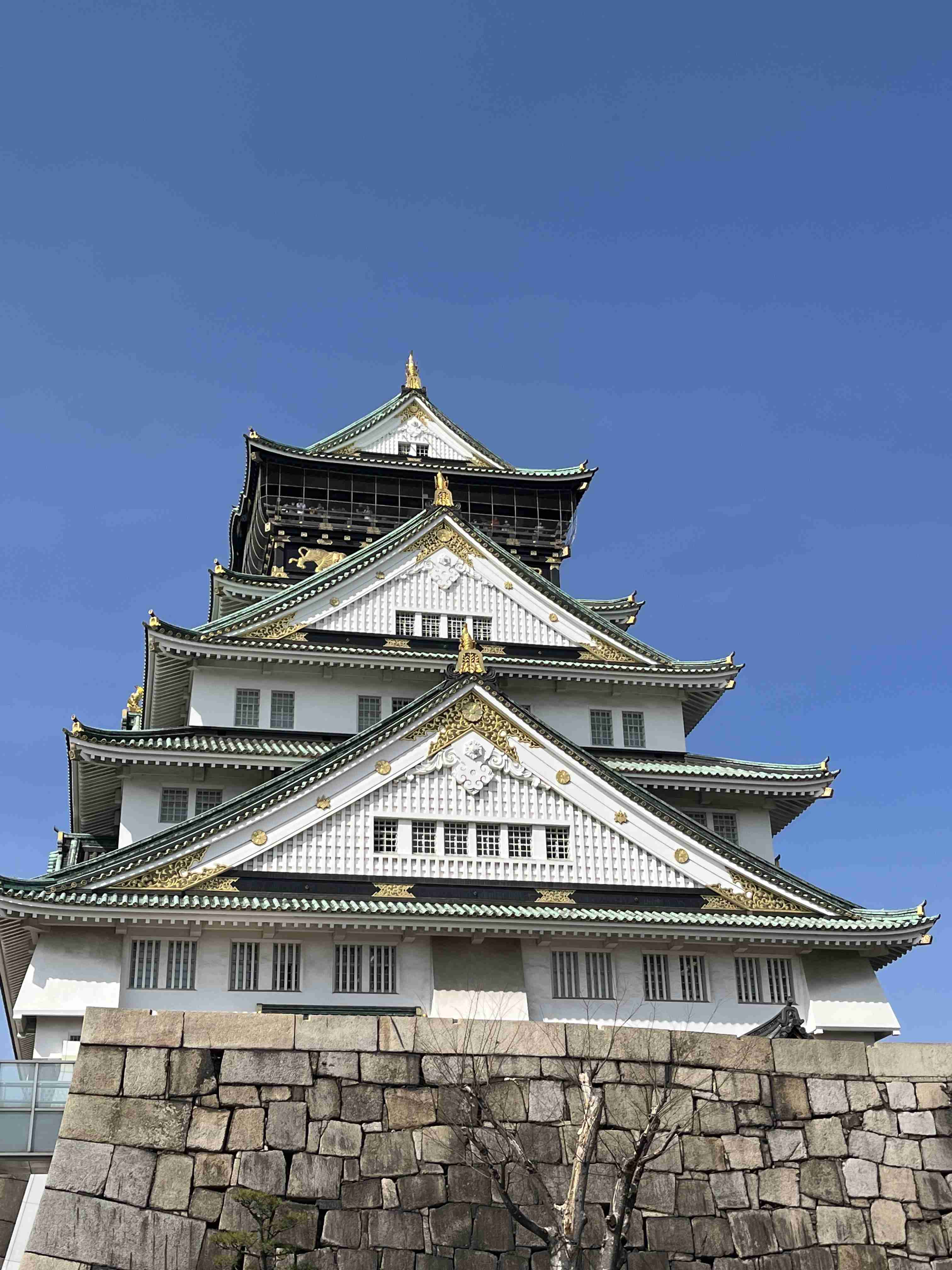 今年ここに行ったことあったらプラス