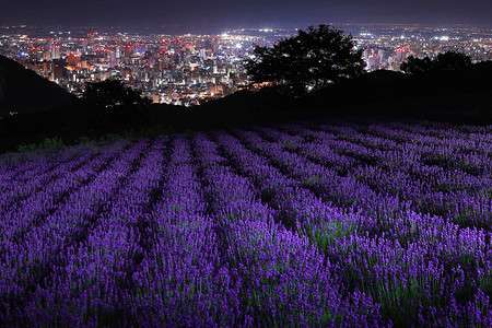 今の時間帯に合う画像を貼っていくトピ