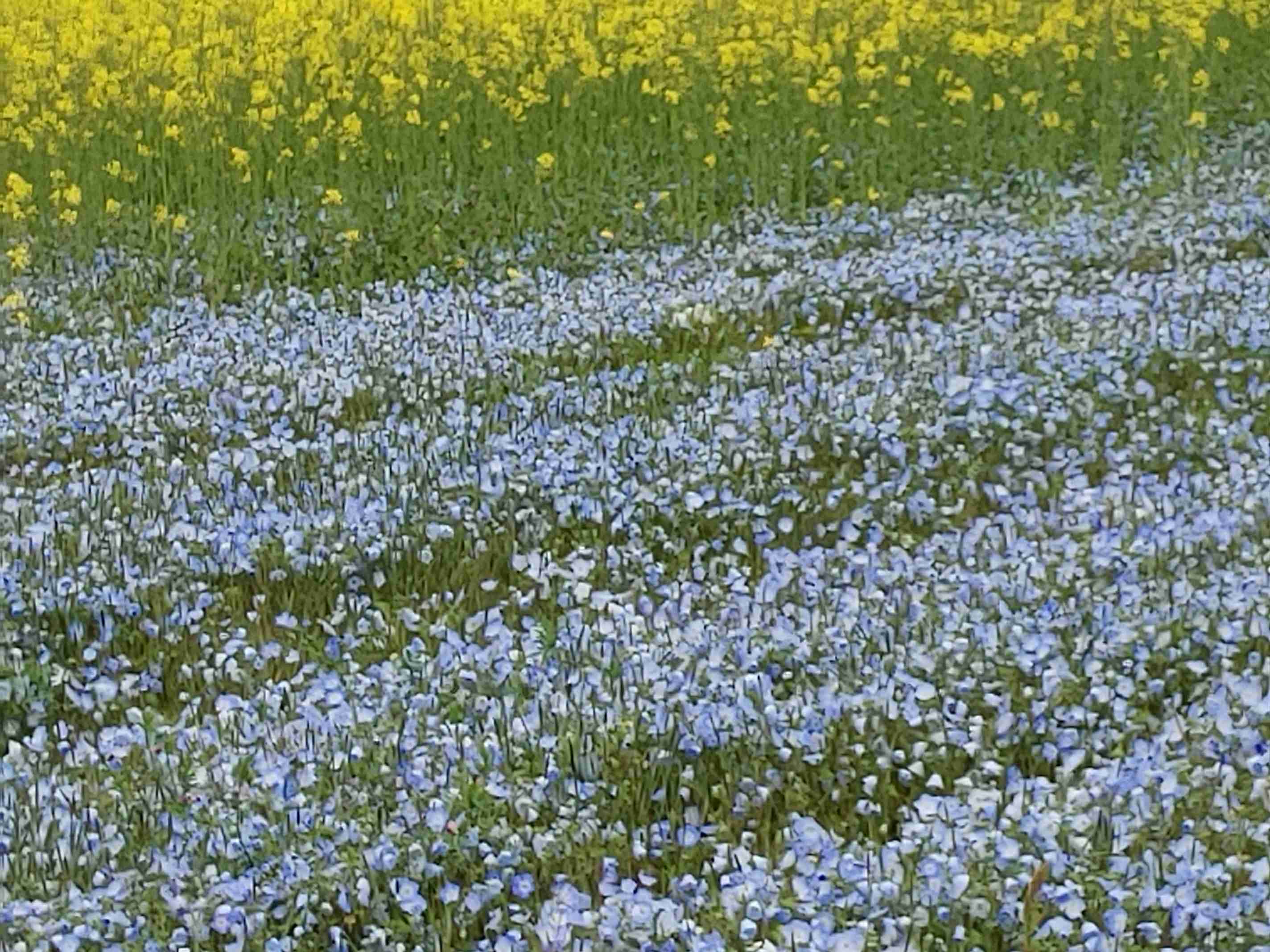 今の時間帯に合う画像を貼っていくトピ