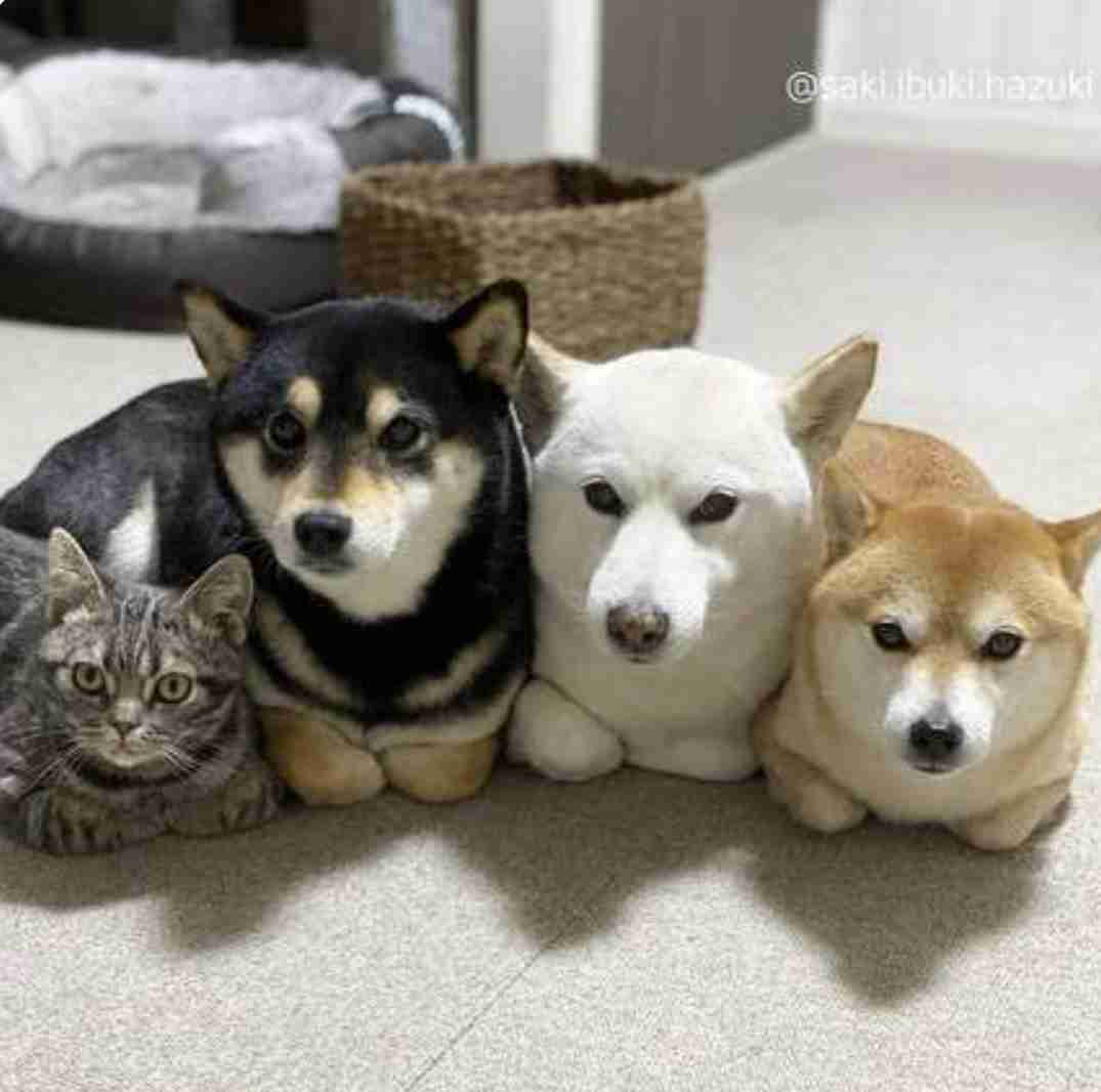 今の時間帯に合う画像を貼っていくトピ