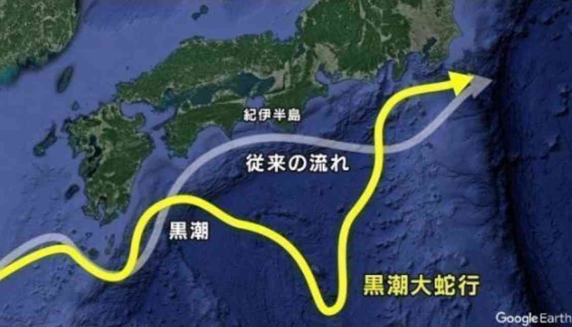 体長10m超の大型クジラ、南房総市の海岸に打ち上げられる　すでに死んで腐敗も…
