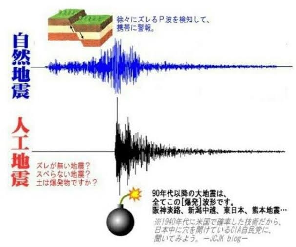 体長10m超の大型クジラ、南房総市の海岸に打ち上げられる　すでに死んで腐敗も…