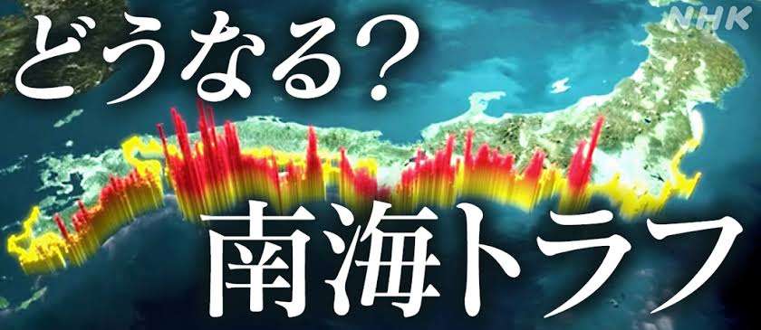 体長10m超の大型クジラ、南房総市の海岸に打ち上げられる　すでに死んで腐敗も…