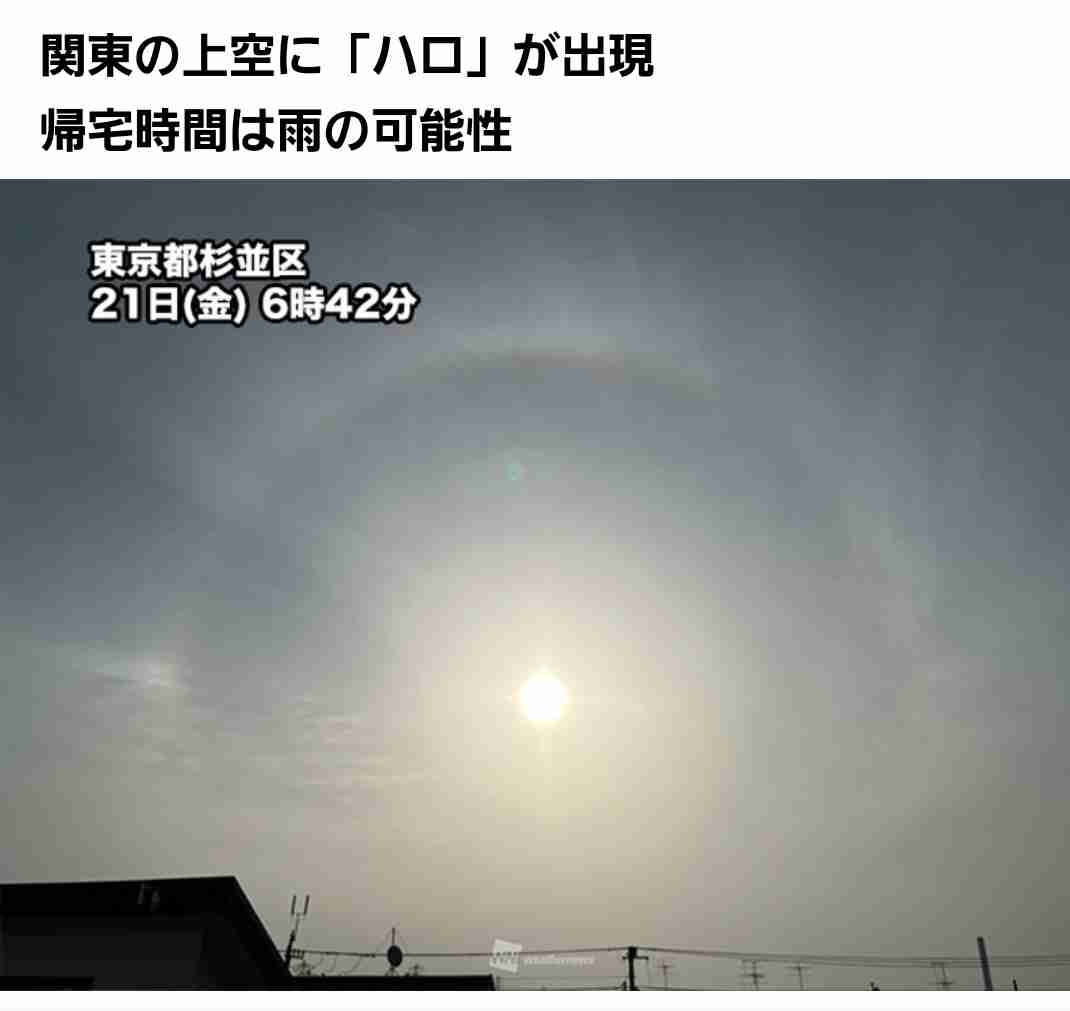体長10m超の大型クジラ、南房総市の海岸に打ち上げられる　すでに死んで腐敗も…
